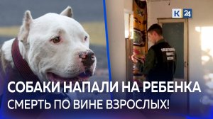 Питбультерьеры загрызли насмерть четырехлетнюю девочку в Сочи