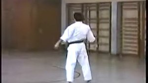 КАТА. Каминари. ФУДОКАН КАРАТЭ. Илья Йорга. KATA. Kaminari. FUDOKAN KARATE. Ilija Jorga.