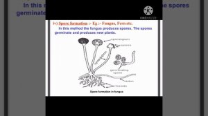 STD 7 reproduction in plants....part2