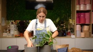 Кокосовый ствол - опора для вьющихся растений