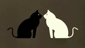 Emir Kusturica & The No Smoking Orchestra - Bubamara (Black Cat White Cat OST)