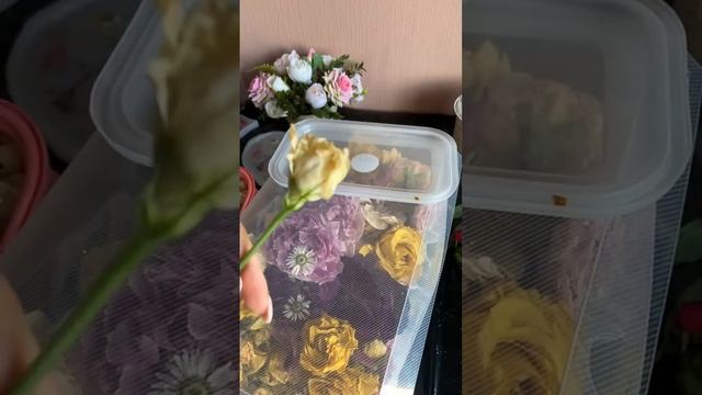 Силикагель и как с ним работать. смотреть онлайн