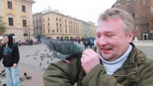 Голуби(ПРИКОЛ)