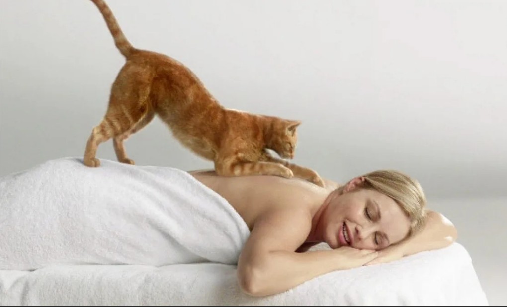 В какое время лучше посещать массажистов и парикмахеров смотреть онлайн