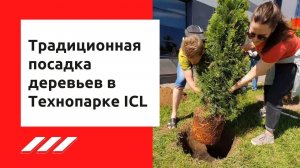 Посадка деревьев в Технопарке ICL