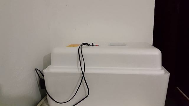 Перепела в квартире. Инкубатор "Несушка" БИ-1. Инкубационные яйца гиг. Фараона смотреть онлайн