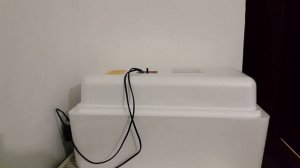 Перепела в квартире. Инкубатор "Несушка" БИ-1. Инкубационные яйца гиг. Фараона