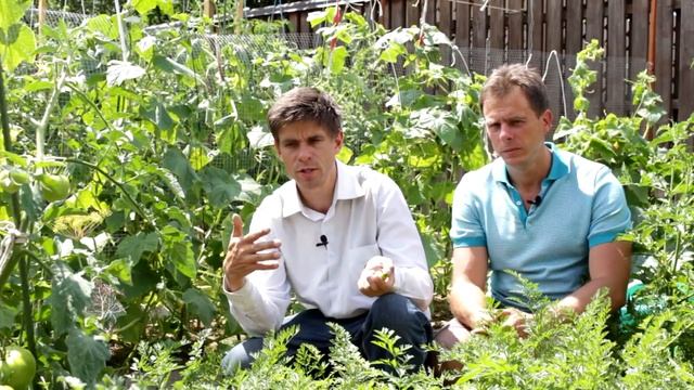 Нехватка Элементов Питания у Огурца - Последствия смотреть онлайн