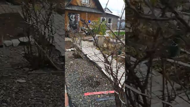 10 ноября 2019 г.(2) смотреть онлайн