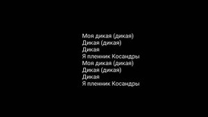 песня (Моя дикая касандра)