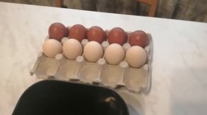 Сколько весит яйцо карликовой курочки Род-Айленд П-11.