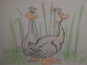 Как нарисовать гусей