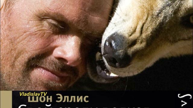 НЕВЕРОЯТНАЯ ДРУЖБА ХИЩНИКОВ И ЛЮДЕЙ смотреть онлайн