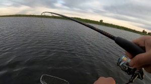 ВОБЛЕР EVER GREEN В ДЕЛЕ. ОБЛОВИЛ ПО ЩУКЕ. Японский воблер