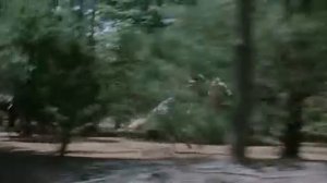 Погоня. Братва и кольцо