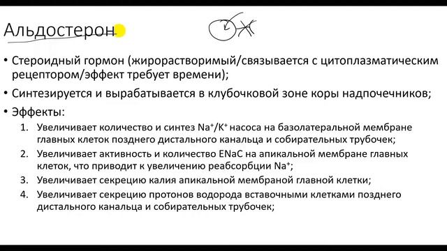 Физиология. Глава 6. Почки. Гормоны и почки