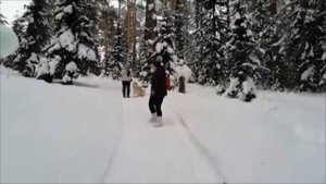 Снег и ёлки