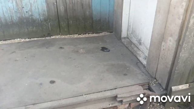 ЖИЗНЬ В СИБИРСКОЙ ДЕРЕВНЕ//ЗАГОТОВКИ//ДЕЛА деревенские//12 августа 2022 г.