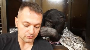 Даже нам порой бывает грустно...Прощай Ив