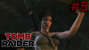 НАТКНУЛИСЬ НА ГРОБНИЦЫ ► Tomb Raider #5