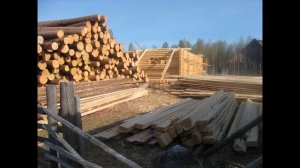 Как получить бесплатный лес на постройку дома