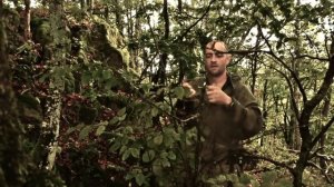 Адаптер. 7 серия. Как передвигаться под гору. Выживание в горах