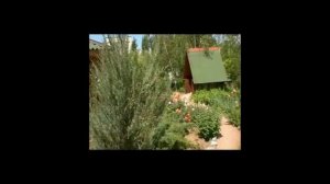 Пансионат Фламинго Евпатория