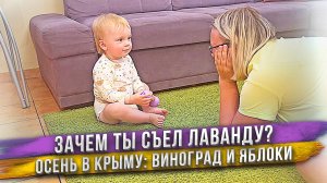 Масик нахулиганил! Съел лаванду! Виноград и яблоки в саду! Аня сделала десерт! Новый чайник термопот