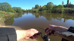 Ловля жереха в начале лета на малой реке.