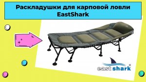 Раскладушки для карповой ловли EastShark