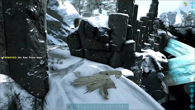 Valguero Dung Beetle Location, Yay they are here.... Boo where they are... смотреть онлайн