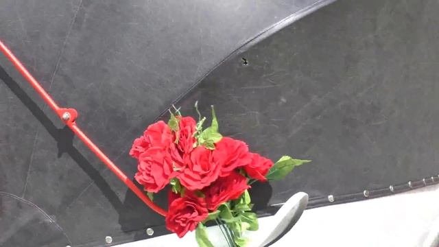 Фестиваль коров Ижевск. Летний сад. Катаемся в карете, красим буренок.