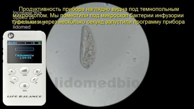 Разрыв мембраны
