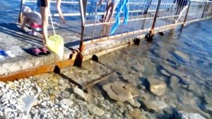 Море Геленджик. База отдыха взлёт