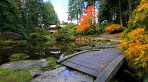 18 Медитация для отмены партнерских полей. Медитации Крайона. Освободись от мыслей о нарциссе.