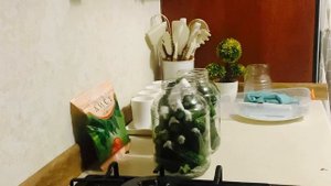 ЗАСОЛКА  ОГУРЦОВ. Забыла положит зонтики укропа?