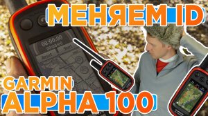 Как сменить ID на охотничьем навигаторе Garmin Alpha 100 - Смена айди