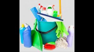 How To Control Phorid Flies In Home?