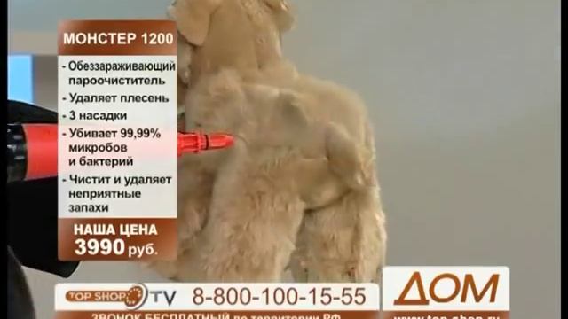 Пароочиститель Monster 1200