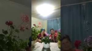 Веселая песня под гармонь "И до рассвета звонко пускай гармонь играет"