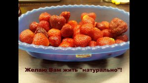 Все на борьбу с мусором! Живем на помойках