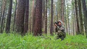 Альфа доберман стреляет.