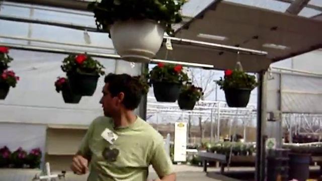 Geranium Fresh Arrivals смотреть онлайн