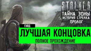 сталкер тайны зоны История Стрелка пролог Вернуться к ученому Передать флешку профессору Громову