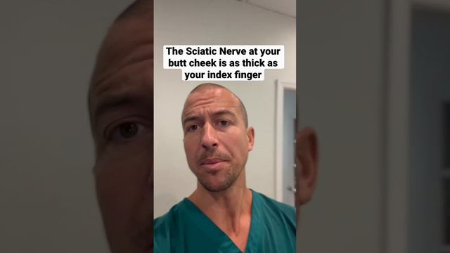 The sciatic nerve at your butt cheek is as thick as your index finger #sciatica