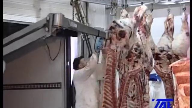 Манипулятор для туш.mpg смотреть онлайн