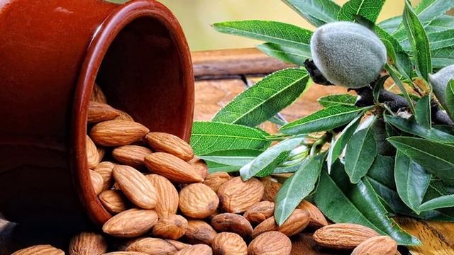 ГРЕЦКИЕ ОРЕХИ МОЛОЧНОЙ СПЕЛОСТИ ПОПРАВЯТ ЗДОРОВЬЕ НА ДОЛГИЕ ГОДЫ! смотреть онлайн