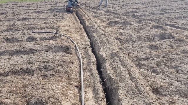 Траншеекопатель в аренду