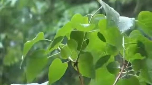 Керемет азан смотреть онлайн