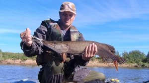 Джиг или Отводной поводок! Рыбалка на Спиннинг на Оке 2022!